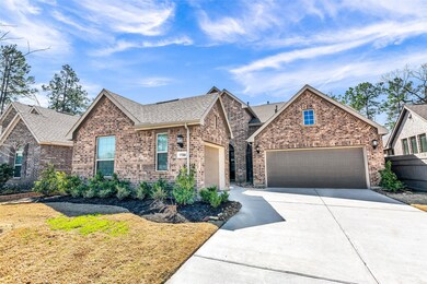 17586 Sunset Skies Rd, Conroe, TX 77302 - photo 3