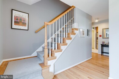 4902 Loosestrife Ct, Annandale, VA 22003 - photo 3