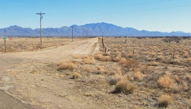 0 W Geronimo Dr, Willcox, AZ 85643 - photo 7