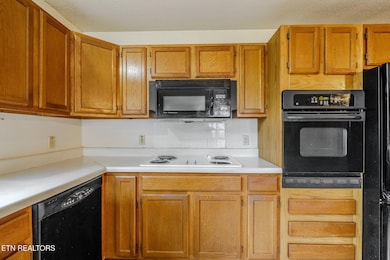 1531 Madron Dr, Sevierville, TN 37862 - photo 6