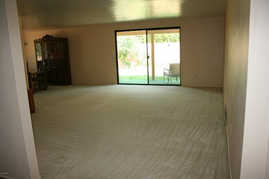 Large Living Room