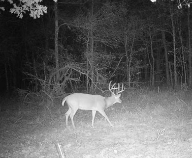 4245 Goodwater Rd, Eagletown, OK 74734 - photo 2