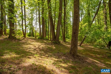 3451 Ivy Rd, Charlottesville, VA 22903 - photo 4