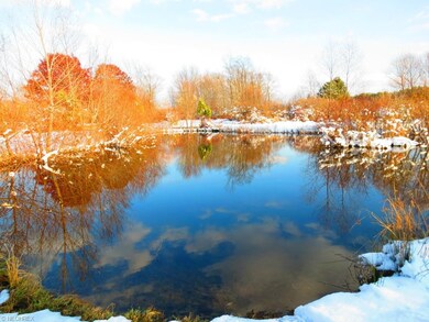 Pond #3  Blue Gill Pond