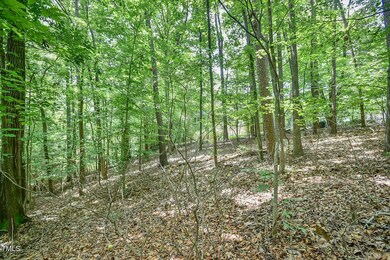 _DSC0554