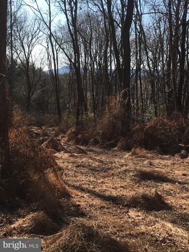 26221 Prescott Rd, Clarksburg, MD 20871 - photo 7