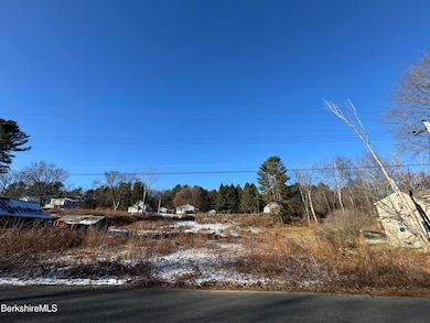 103 Stearns Ave, Pittsfield, MA 01201 - photo 3