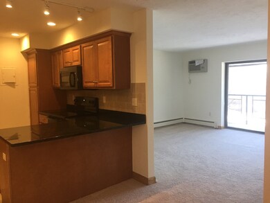 2344 Commonwealth Ave unit 3-3, Auburndale, MA 02466 - photo 5