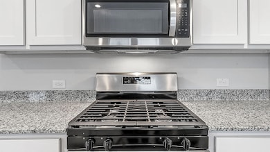 167 Greengate Dr, Boyd, TX 76023 - photo 5