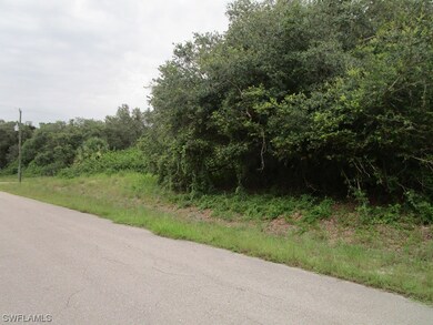 1818 Roosevelt Ave, Lehigh Acres, FL 33972 - photo 3