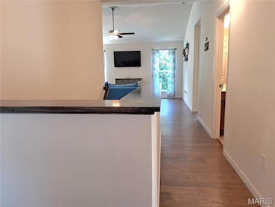 Kitchen featuring wood finished floors, a ceiling fan, and open floor plan