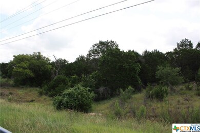 2404 Big Divide Rd, Copperas Cove, TX 76522 - photo 3