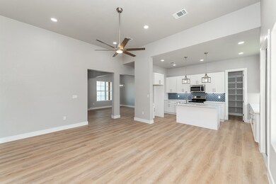 118 Madrona Ln, Fredericksburg, TX 78624 - photo 6