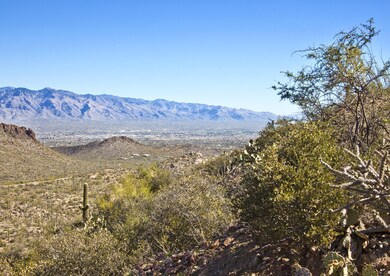 Mountain Vistas