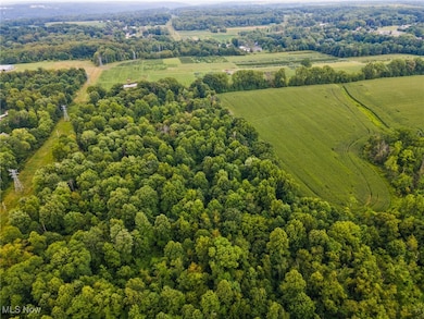 3810 Center Rd, Youngstown, OH 44514 - photo 5