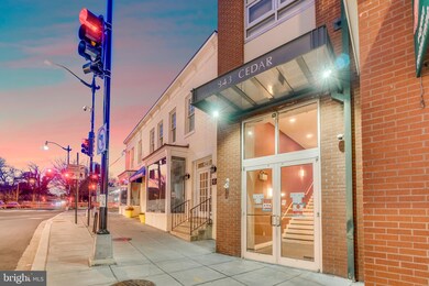 343 Cedar St NW unit 103, Washington, DC 20012 - photo 3