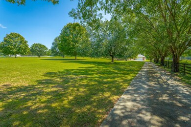 Driveway/front yard