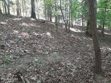 0 Deer Pond Cir unit 1281469, Lafollette, TN 37766 - photo 3