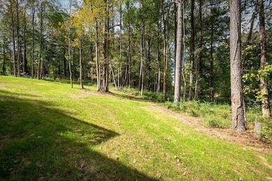 149 Lynn Ln, Charlotte, TN NULL - photo 7