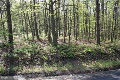 0 Whipporwill Rd unit 1004452001, Basye, VA 22810 - photo 4