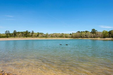 15 Paddock Rd, Oak Bluffs, MA 02557 - photo 2