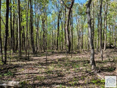 0 Bent School Rd, Meadows of Dan, VA 24120 - photo 7