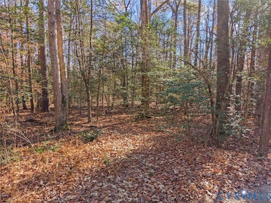 58xx Toe Ink Terrace, District 2, VA 23141 - photo 3