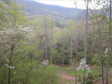 2717 Ruby Mine Rd, Franklin, NC 28734 - photo 6