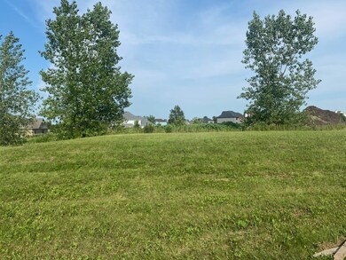 1070 Wheatfield Ave, Sugar Grove, IL 60554 - photo 5