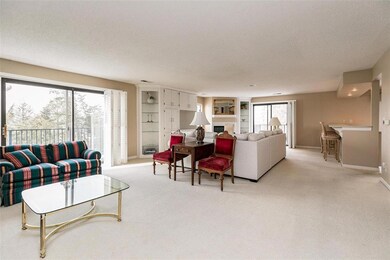 Living/Great Room