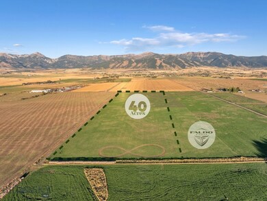 TBD Spain Bridge Rd, Belgrade, MT 59714 - photo 4