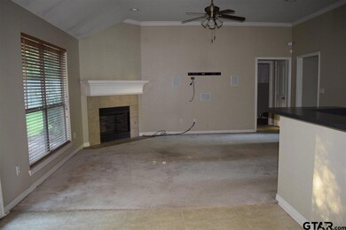 3161 3161 Vineyard Ave, Tyler, TX 75701 - photo 4