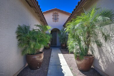341 W Leatherwood Ave, San Tan Valley, AZ 85140 - photo 5