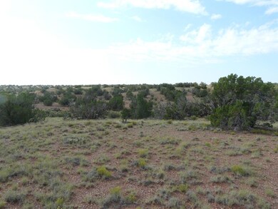 Lot 577 Ccr Unit 4 -- unit 577, Heber, AZ 85928 - photo 3