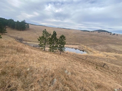 Lots 6 & 7 Mineral Ln unit TBD Mineral Lane, Hill City, SD 57747 - photo 6