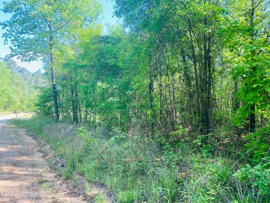 0 Maynard Rd, Gray, GA 31032 - photo 2