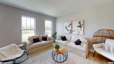 210 18th Ave, Moline, IL 61265 - photo 5