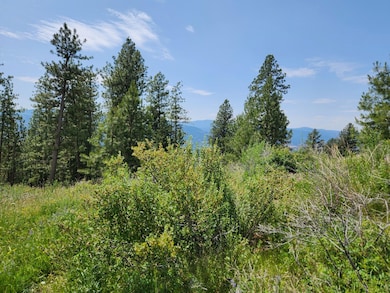 0 Tbd Roundabout Rd unit 23912009, Tonasket, WA 98855 - photo 5