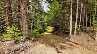 Looking Down the Driveway from Clearing