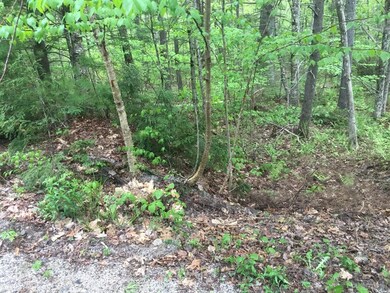 48 Leisure Ln, Limerick, ME 04048 - photo 2