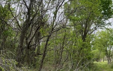 0 Ash Dr, Brazoria, TX 77422 - photo 3