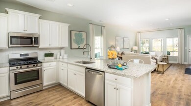 Kingston kitchen