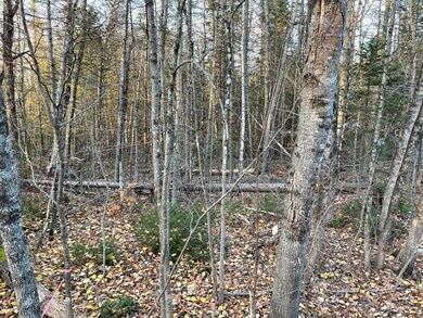 00 Arno Rd, Dexter, ME 04930 - photo 4