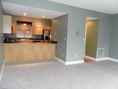 Open Concept kitchen that opens into family room.