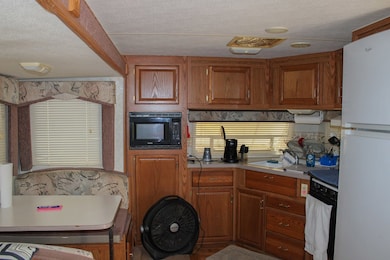 1808 Oak Ave, Steinhatchee, FL 32359 - photo 4