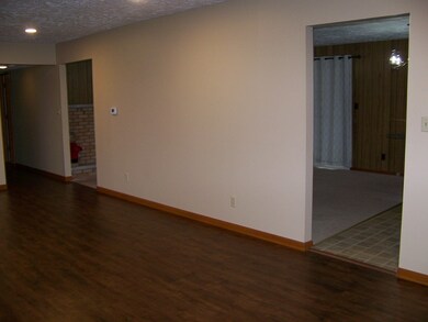 101 W Vaughan St, Forrest, IL 61741 - photo 3