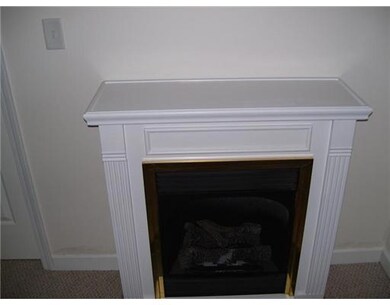 Other. Close up of propane fireplace