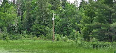 TBD 40 Crane Lake, Crane Lake, MN 55725 - photo 7