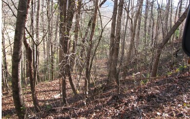 Additional View