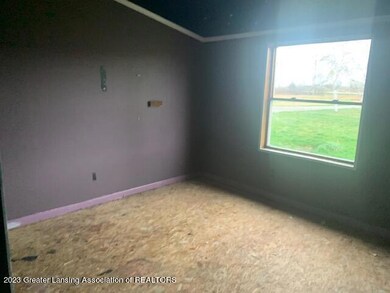 7901 E Carson City Rd, Carson City, MI 48811 - photo 3